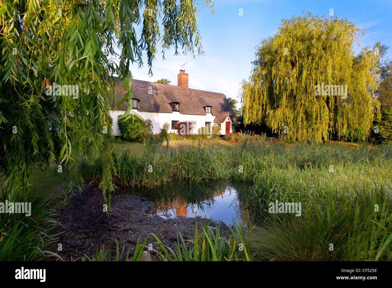 a thatched cottage in Fornham All Saints village in Suffolk, UK Stock