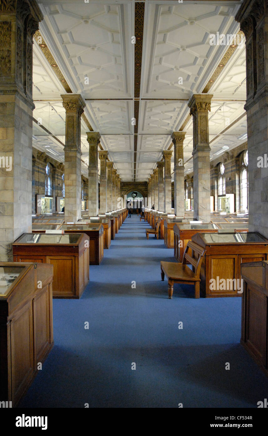 Interior view of the Earth ‚àö‚â†s Treasury Gallery in the Natural