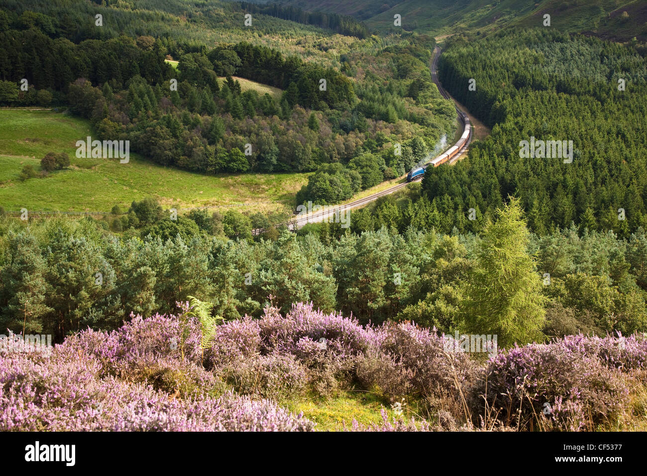 A steam locomotive on the North Yorkshire Moors Railway travelling through Newtondale. Stock Photo