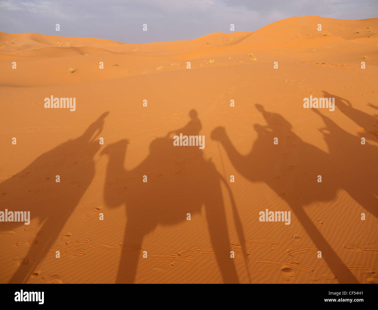 North Africa, Morocco, Merzouga, Shadows of a caravan with camels and tourists on sand Stock Photo