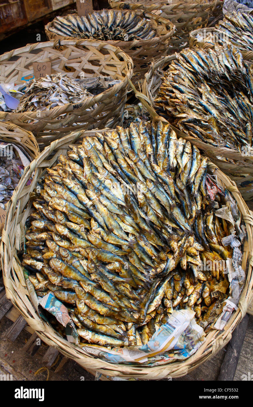 Fish Market In Philippines Stock Photos & Fish Market In Philippines
