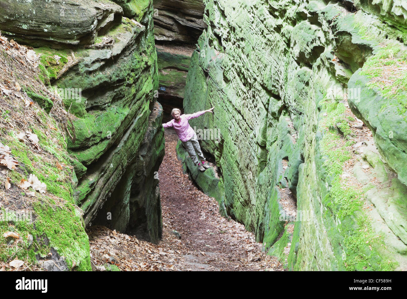 Germany, Rhineland-Palatinate, Mature woman hiking in nature park Stock Photo