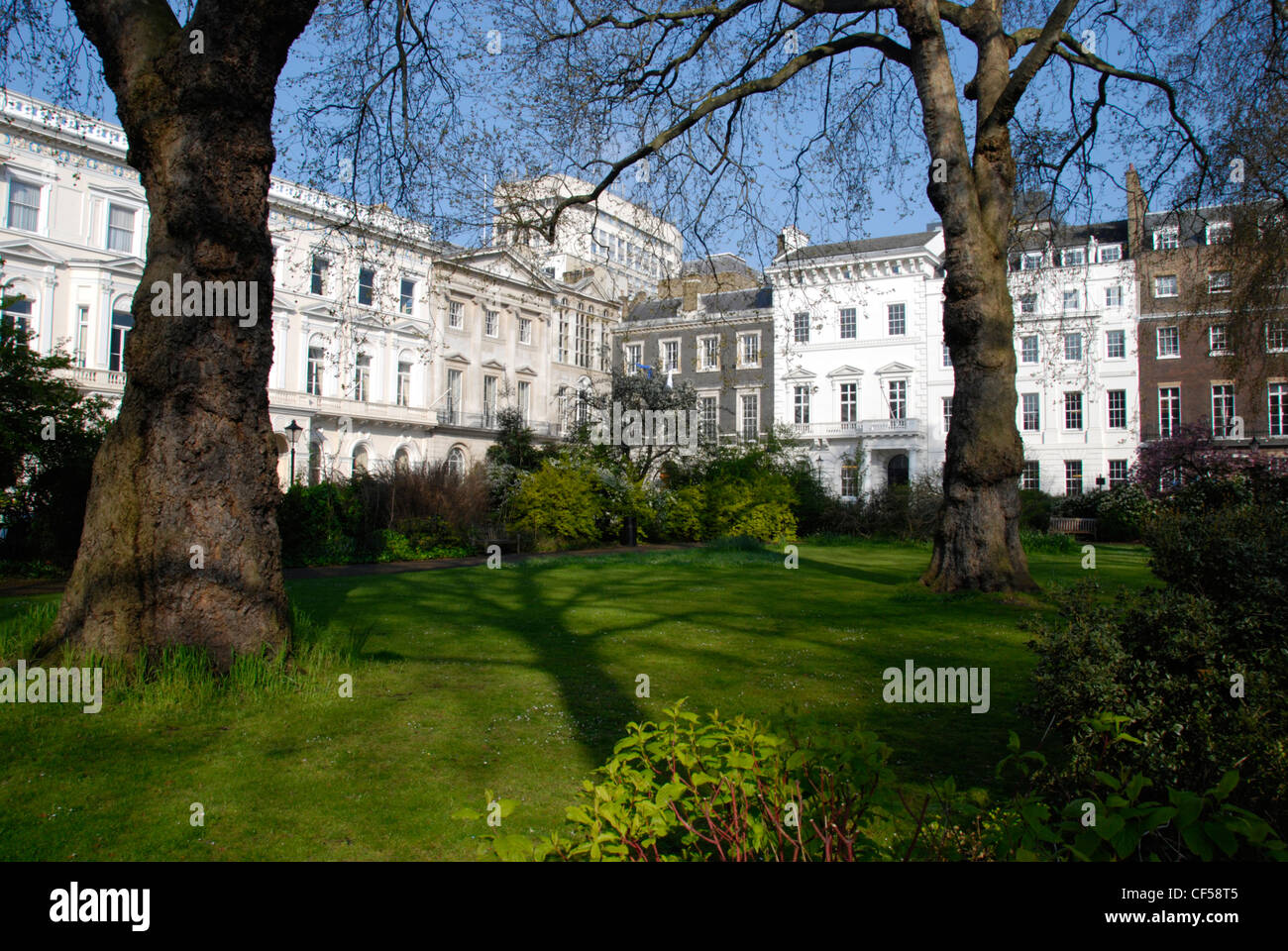 A view of St James's Square Stock Photo - Alamy