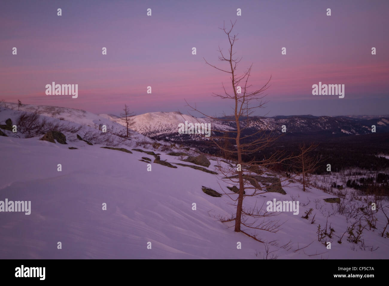 Timan Ridge Snow rocks and taiga forest in Siberia mountains. Kuznetskiy Alatau ...