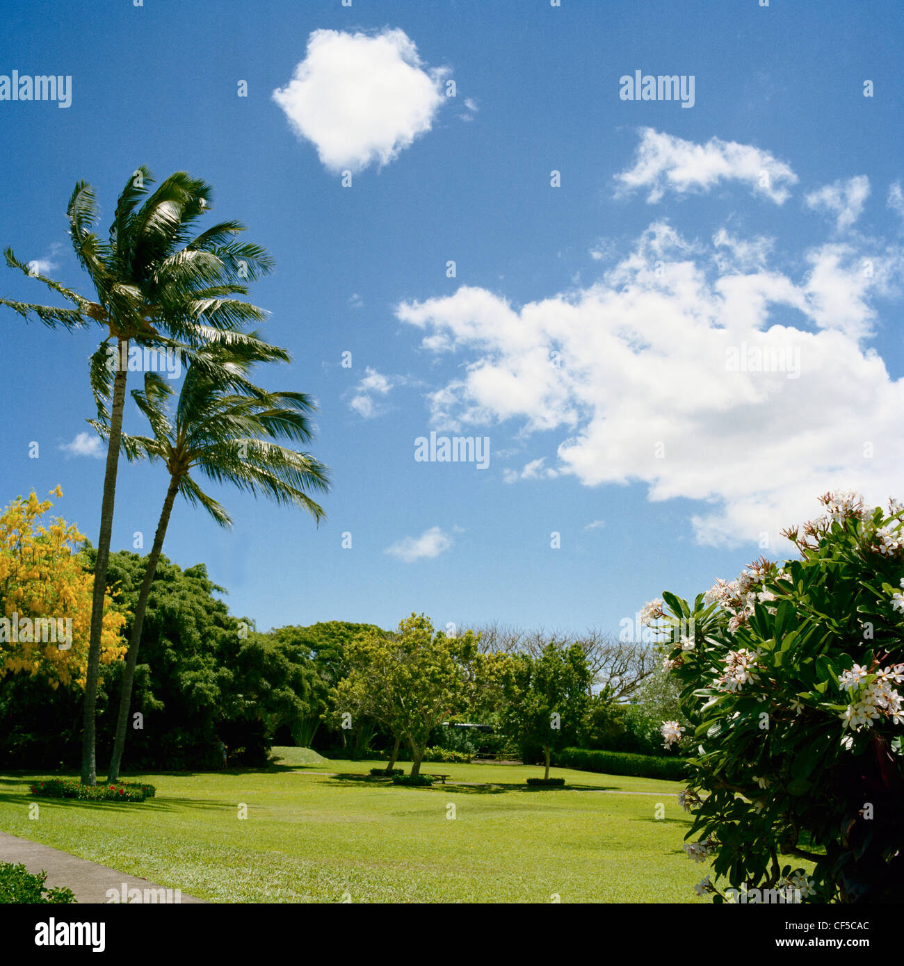 Maui Tropical Plantation Waikapu Maui Hawaii Stock Photo Alamy