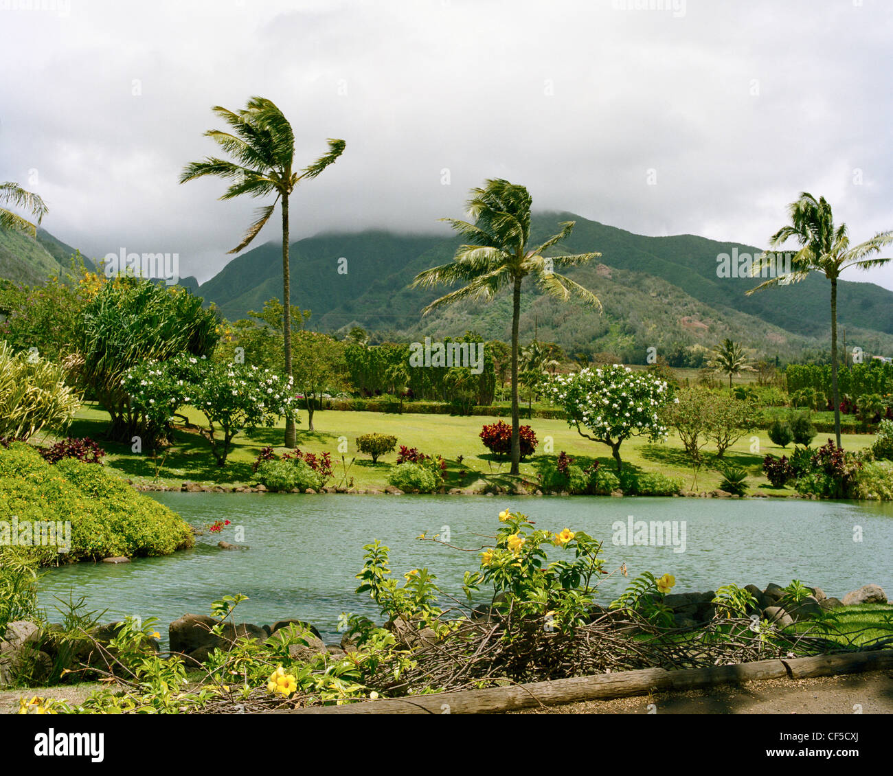 Lagoon Maui Tropical Plantation Waikapu Maui Hawaii Stock Photo Alamy