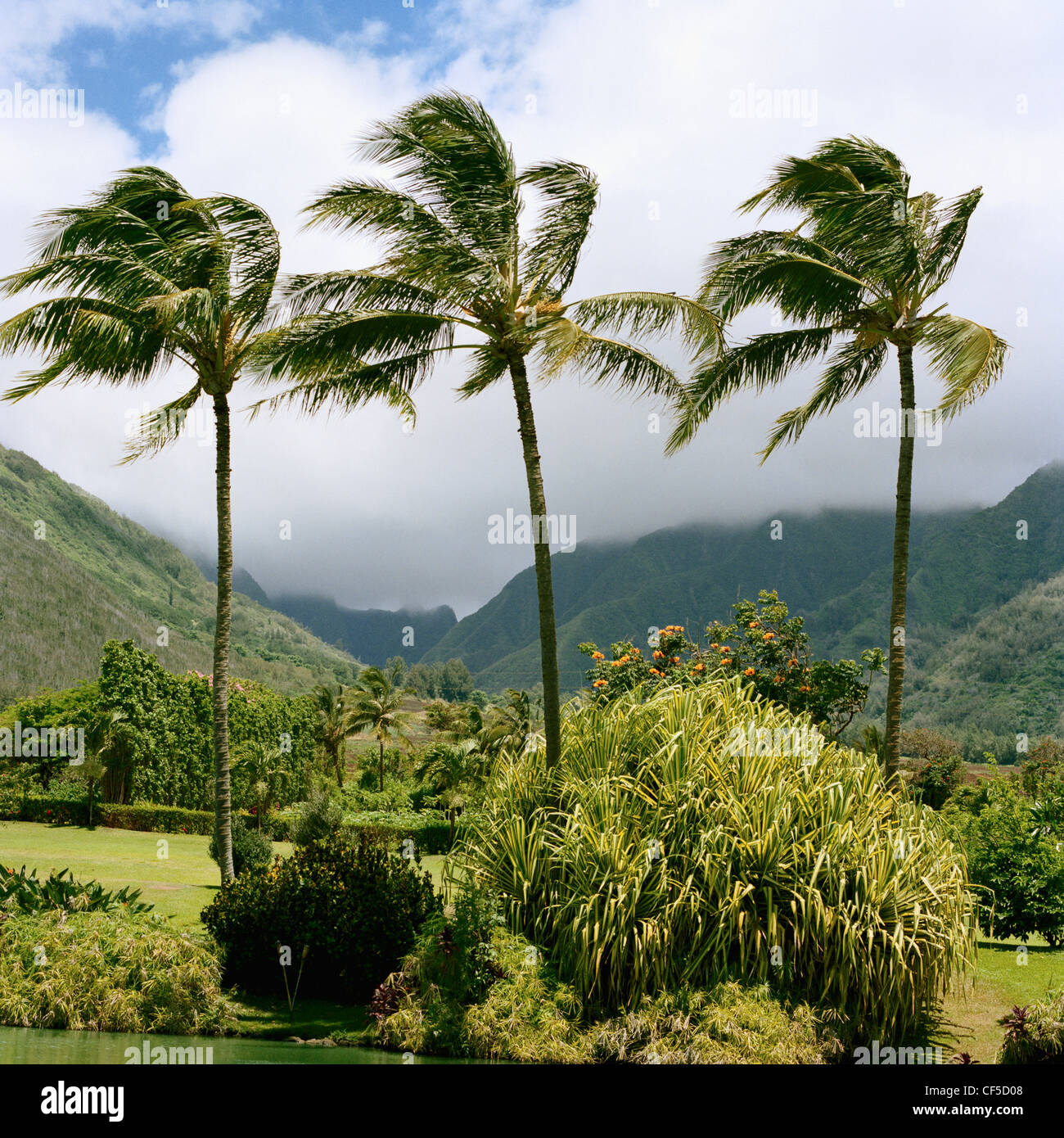Waikapu hawaii hires stock photography and images Alamy
