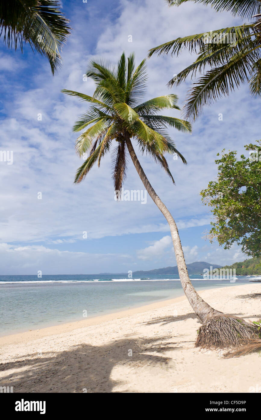 Antongil bay hi-res stock photography and images - Alamy