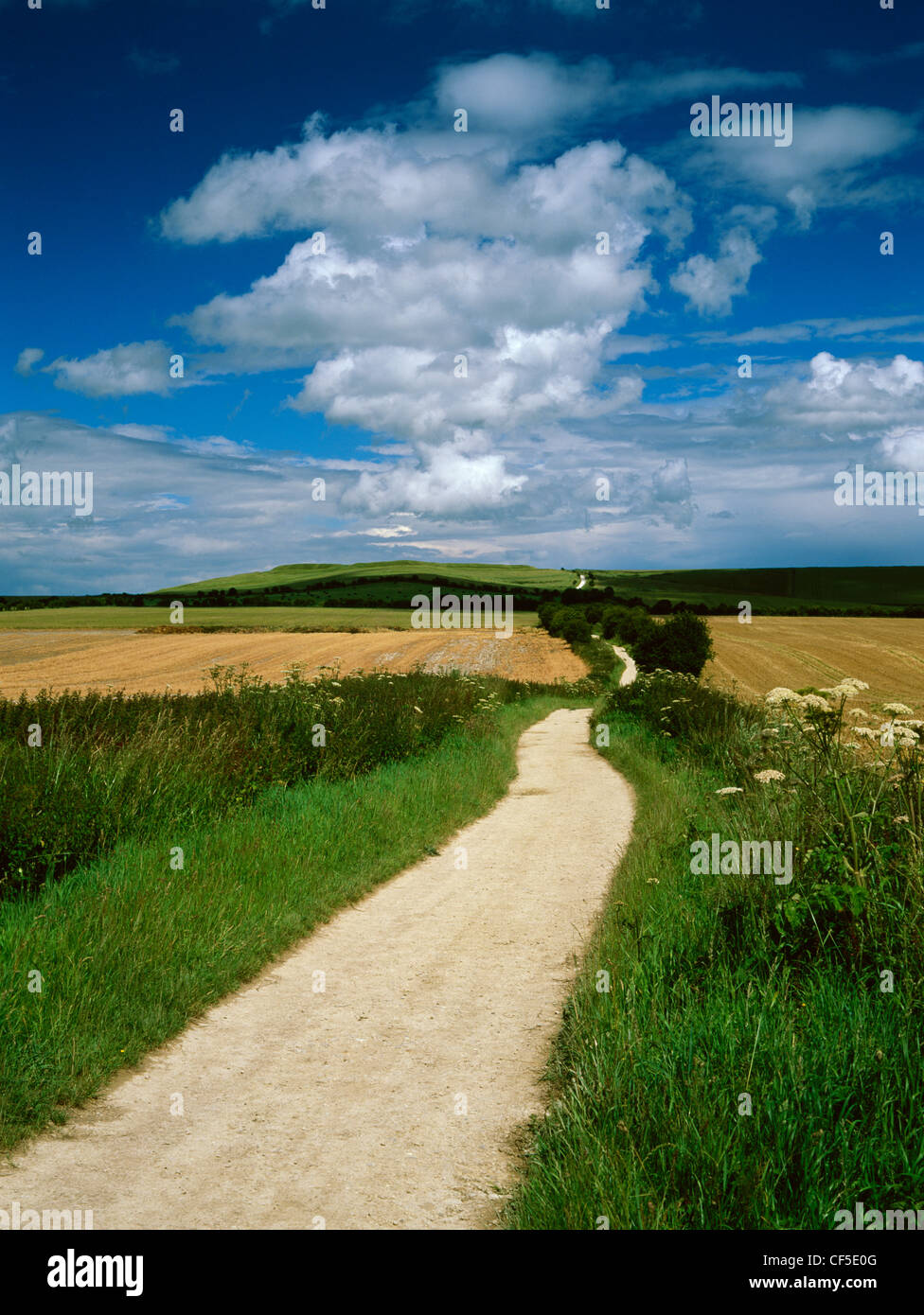 The Ridgeway long distance path approaching Uffington Castle hillfort on Whitehorse Hill. Stock Photo