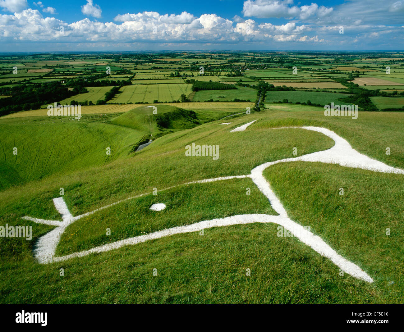 Head and eye of Uffington White Horse and Dragon, a chalk figure carved on the hillside above the flat-topped mound where St Geo Stock Photo