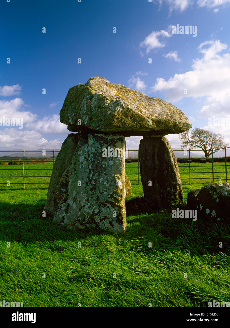 The exposed remains of a Neolithic burial chamber in Llanidan parish; three side-slabs support a sloping capstone. Stock Photo
