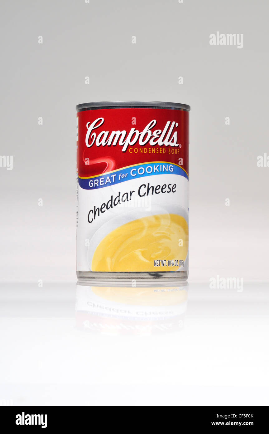 Unopened tin of Campbell's cheddar cheese soup on white background cut out USA Stock Photo Alamy