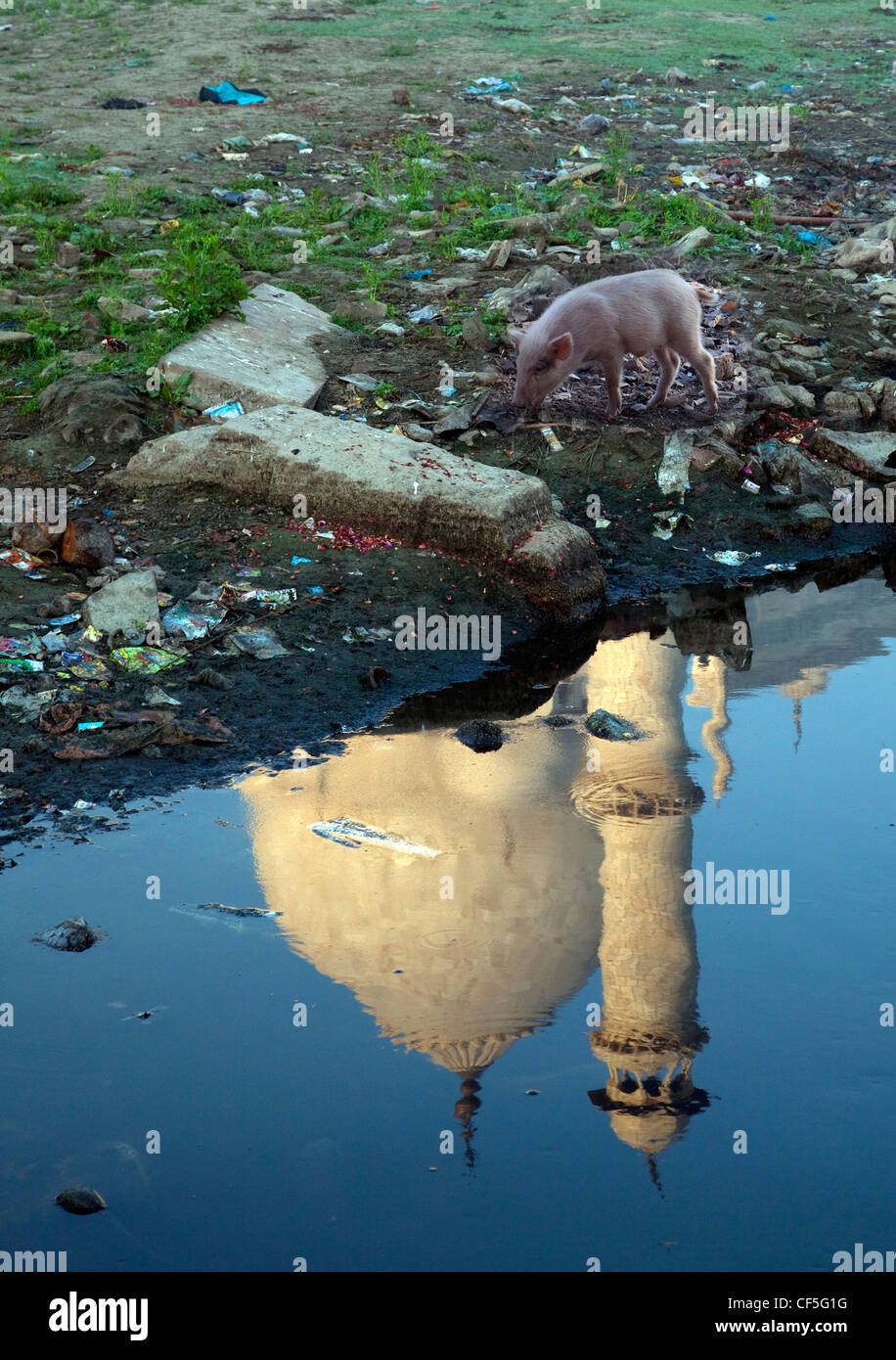 Yamuna river agra pollution hi-res stock photography and images - Alamy