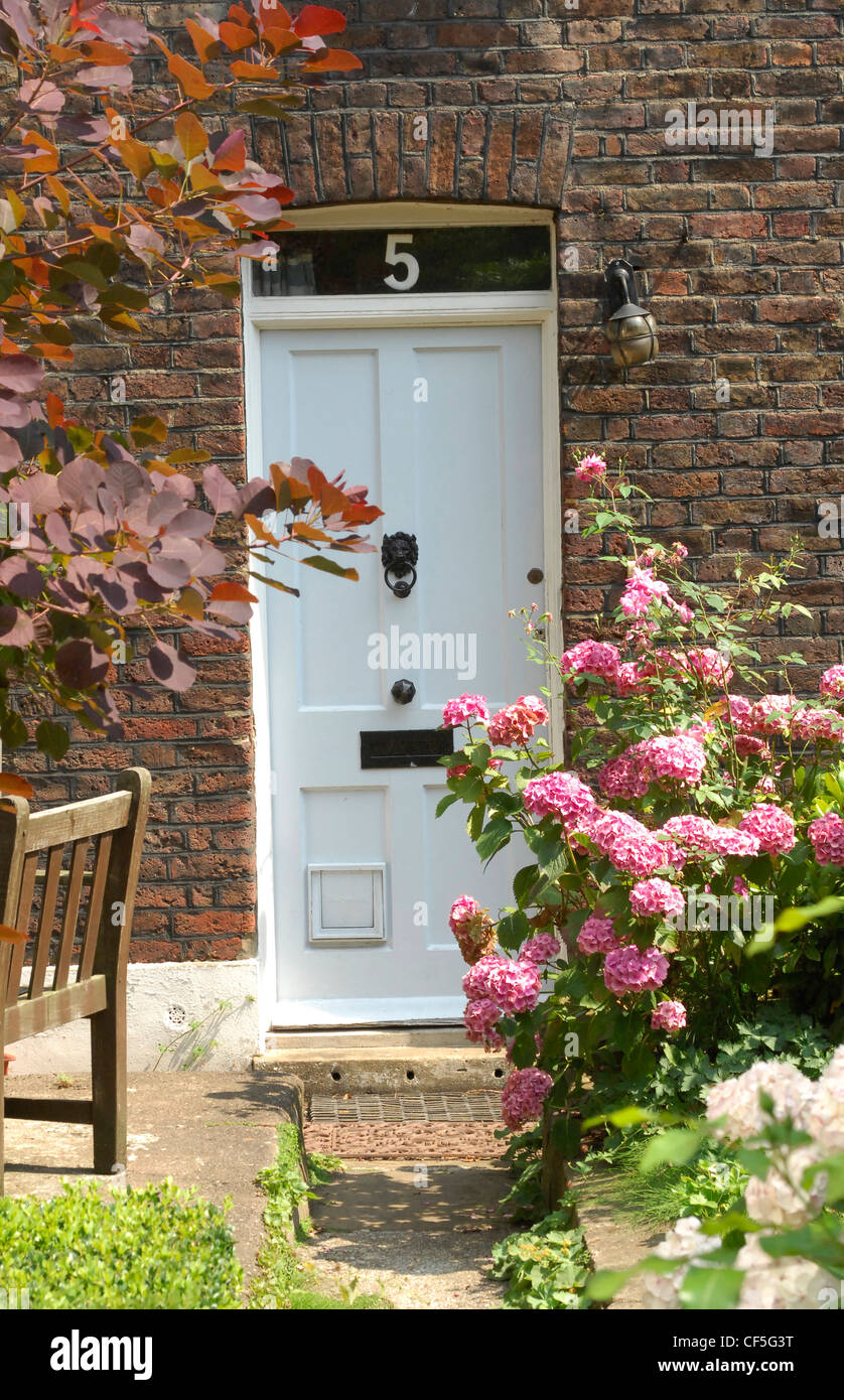 A white front doon a red brick house with black knocker and letter box, pink Rhododendron plant in flower bed Stock Photo