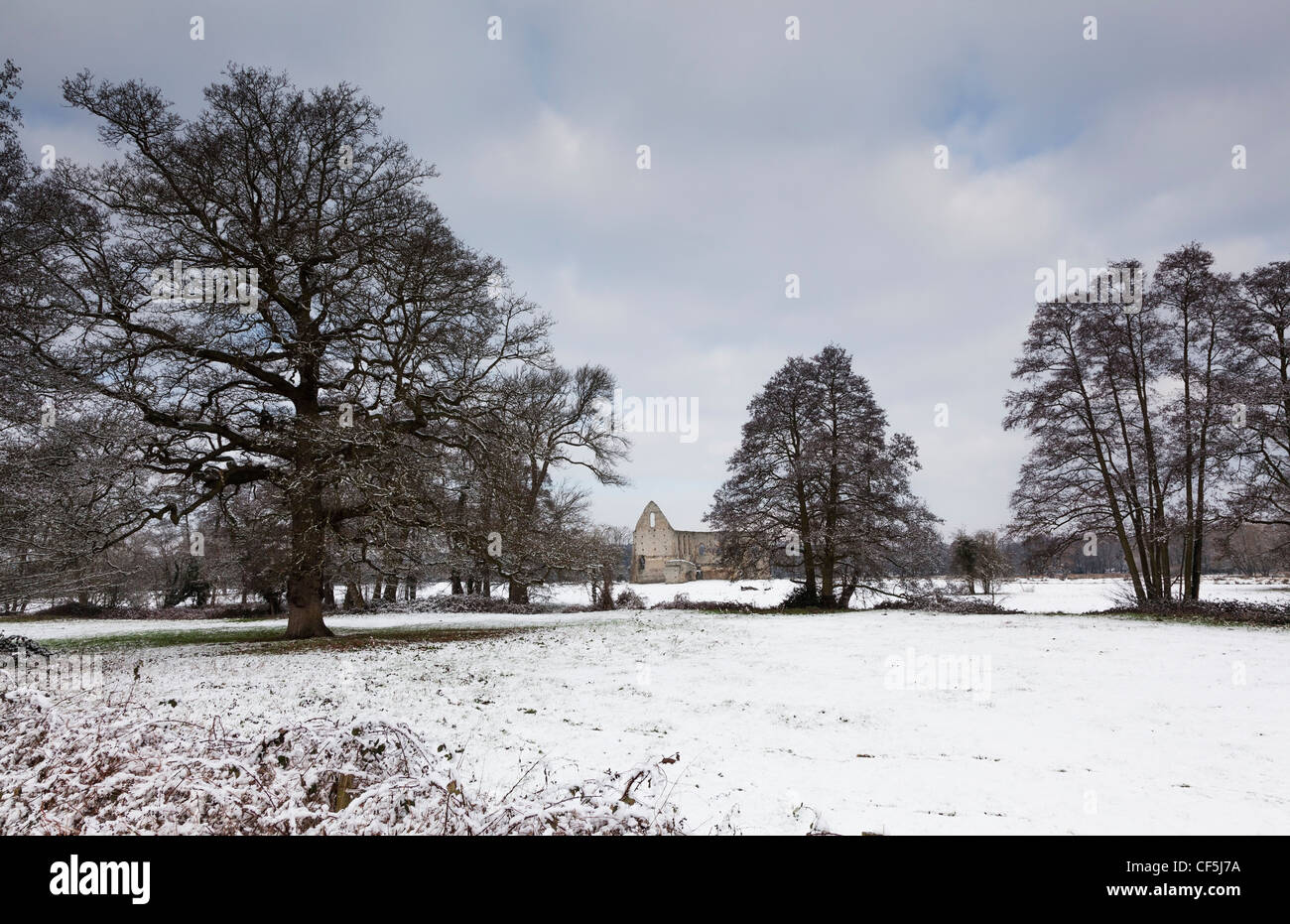 Snowy landscape in Surrey, with Newark Priory ruins in background, near