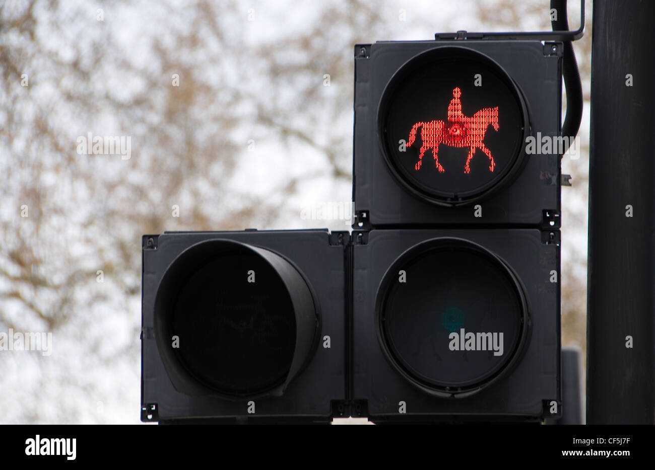Traffic signal for horse riders in Whitehall. Stock Photo