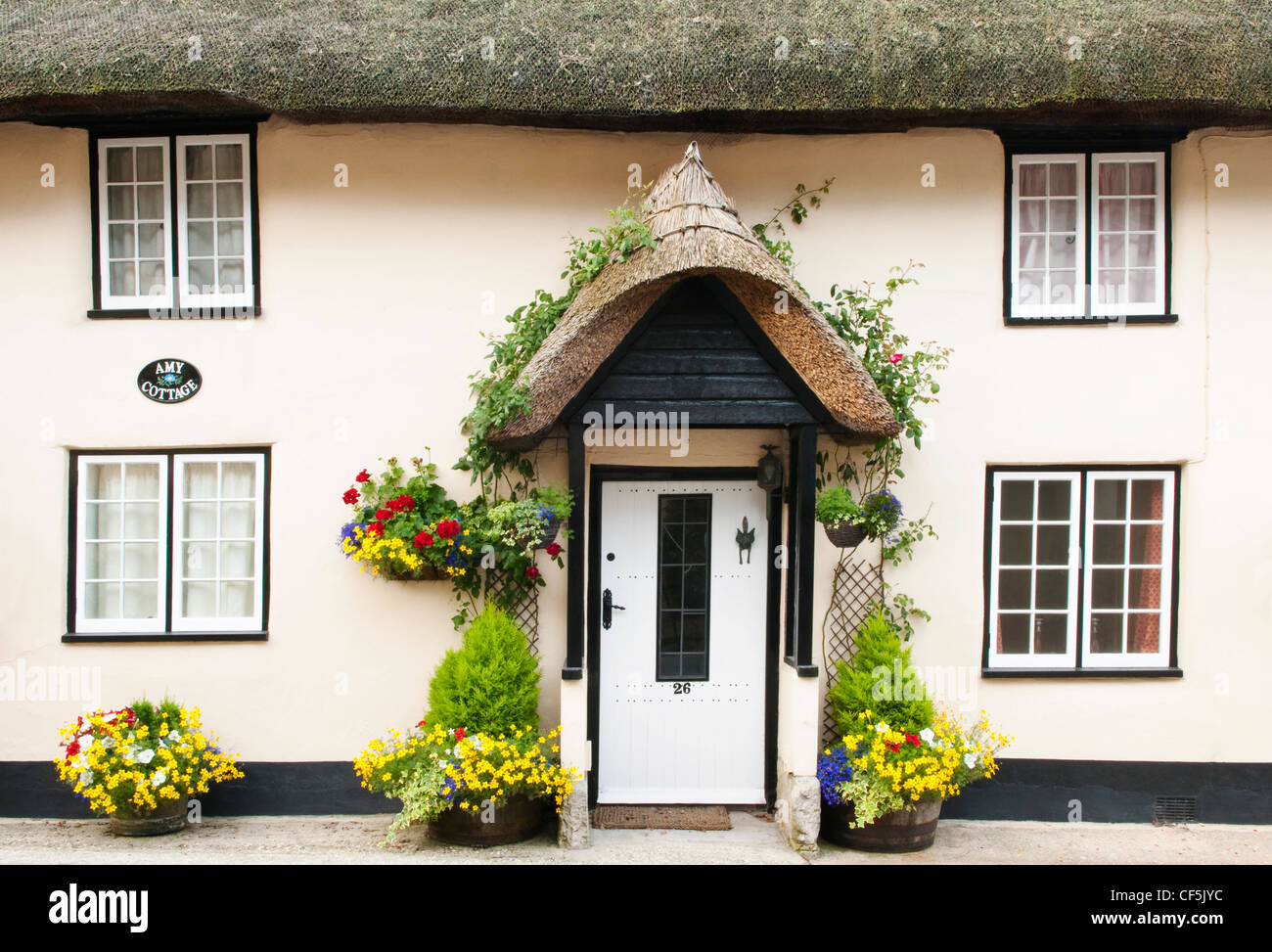A traditional thatched cottage in West Lulworth. Stock Photo