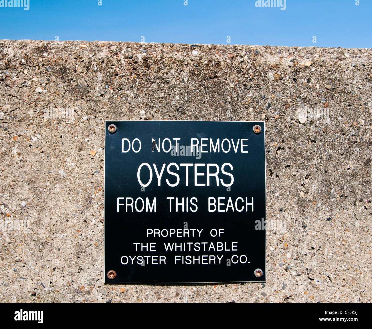 'Do Not Remove Oysters From This Beach' sign in Whitstable, an area famous for its oysters that have been collected there since Stock Photo