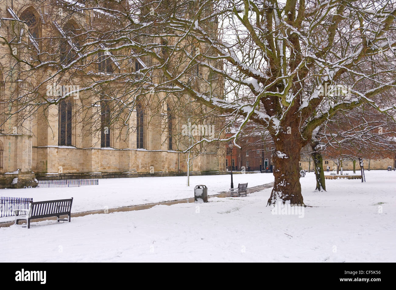 Deans Park and York Minster covered in snow. Stock Photo