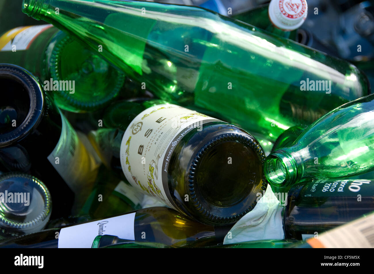 Discarded bottles in a waste recycling bin. Stock Photo