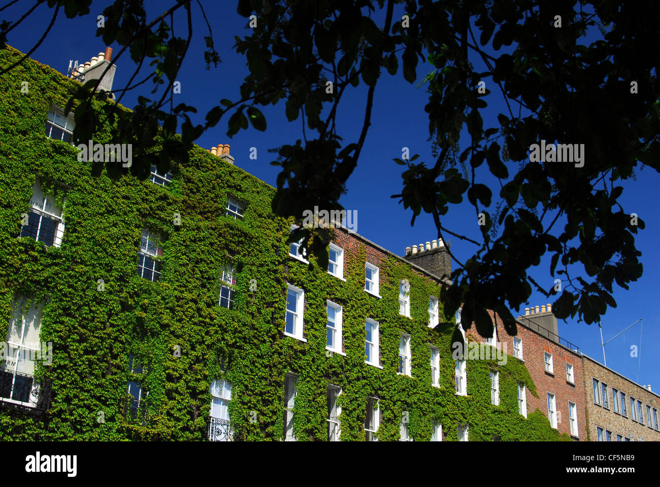 architecture at Dublin's Fitzwilliam Square Stock Photo Alamy