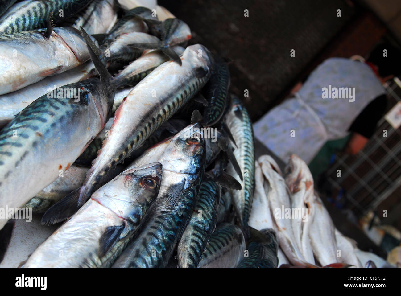 A close up of a fish stall at Moore Street Market in Dublin Stock Photo