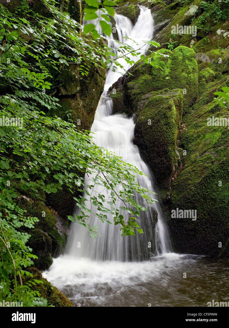 Stock Ghyll Force, a picturesque waterfall in the Lake District. Stock Photo