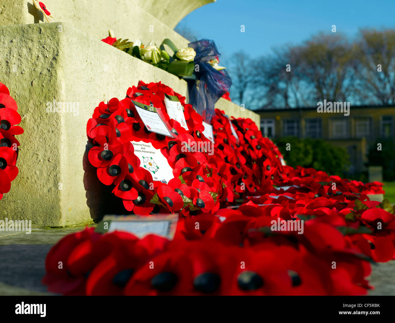 Remembrance Day poppies around the base of the war memorial in the War