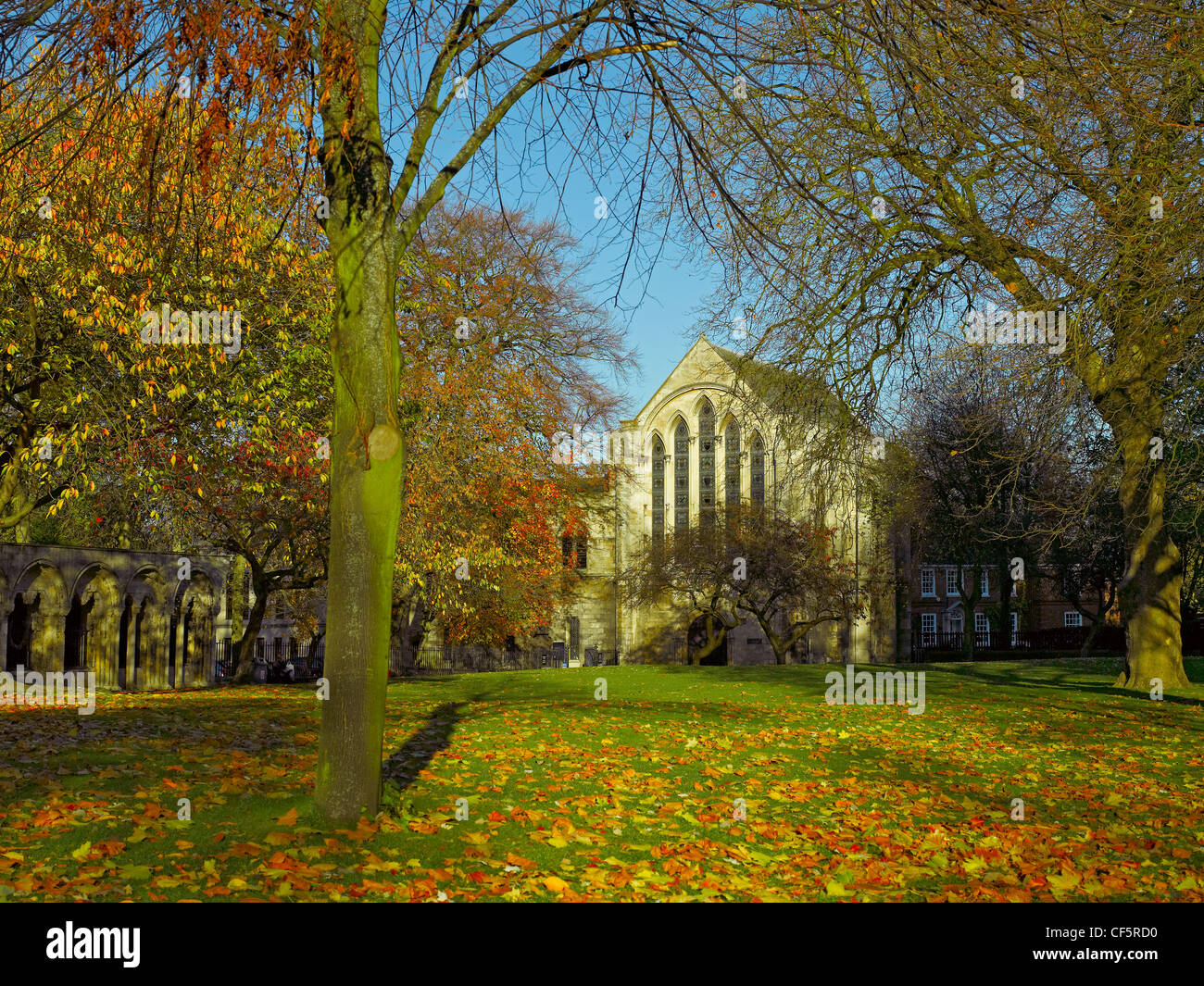 13th century York Minster Library from Deans Park in autumn. Stock Photo