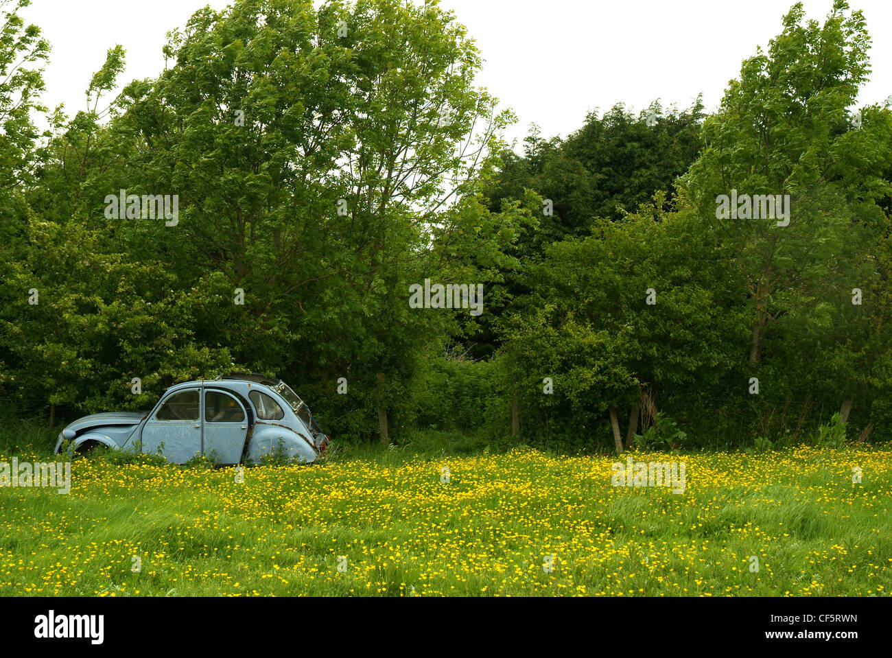 An old rusty Citroen 2CV abandoned in a hedgerow in Henfield. Stock Photo