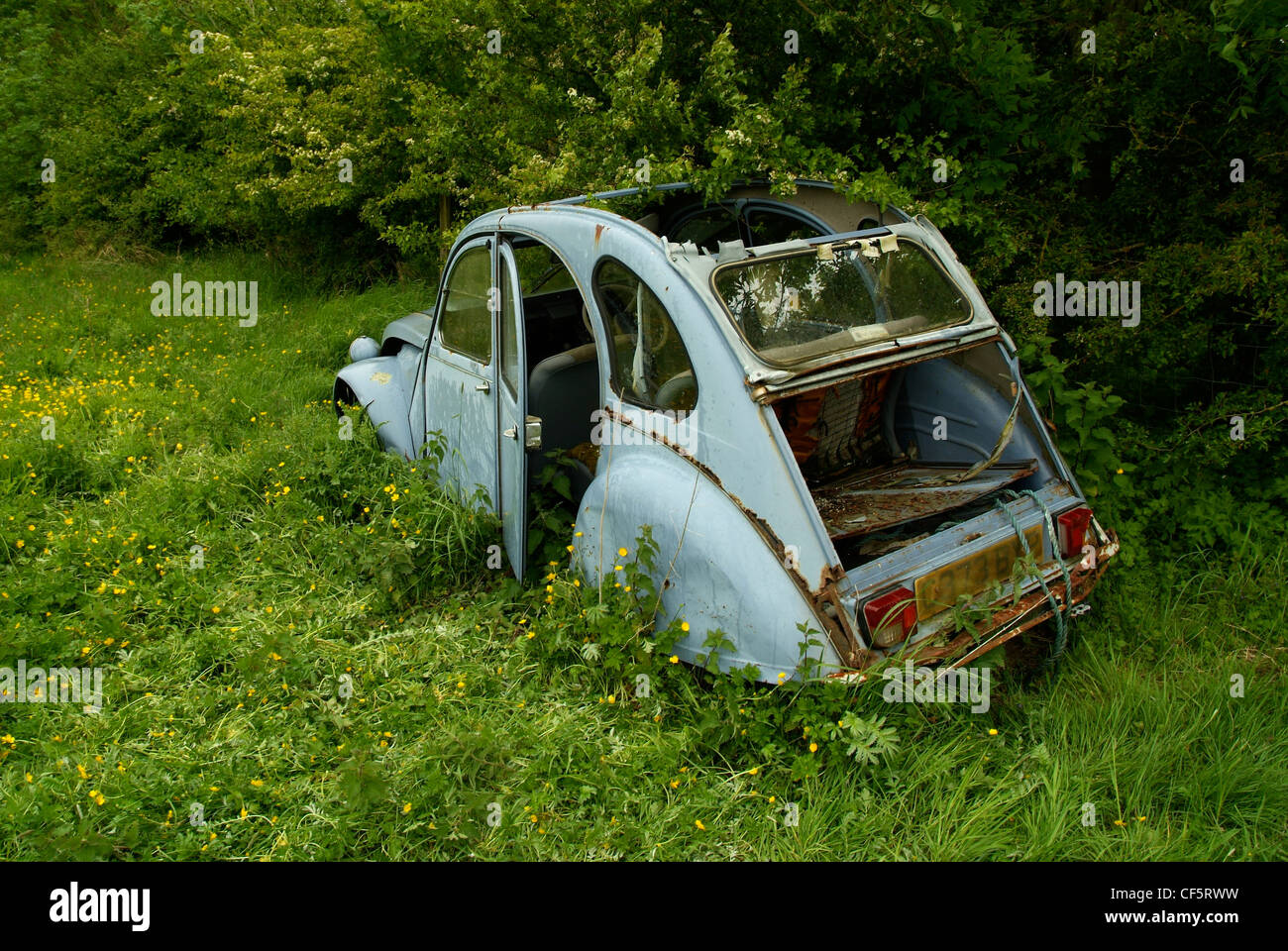 An old rusty Citroen 2CV abandoned in a hedgerow in Henfield. Stock Photo