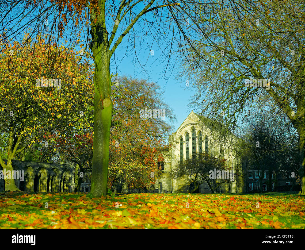 13th century York Minster Library from Deans Park in autumn. Stock Photo