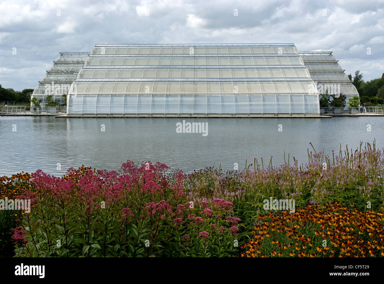 View across the lake to the new world-class glasshouse at RHS Wisley. Stock Photo