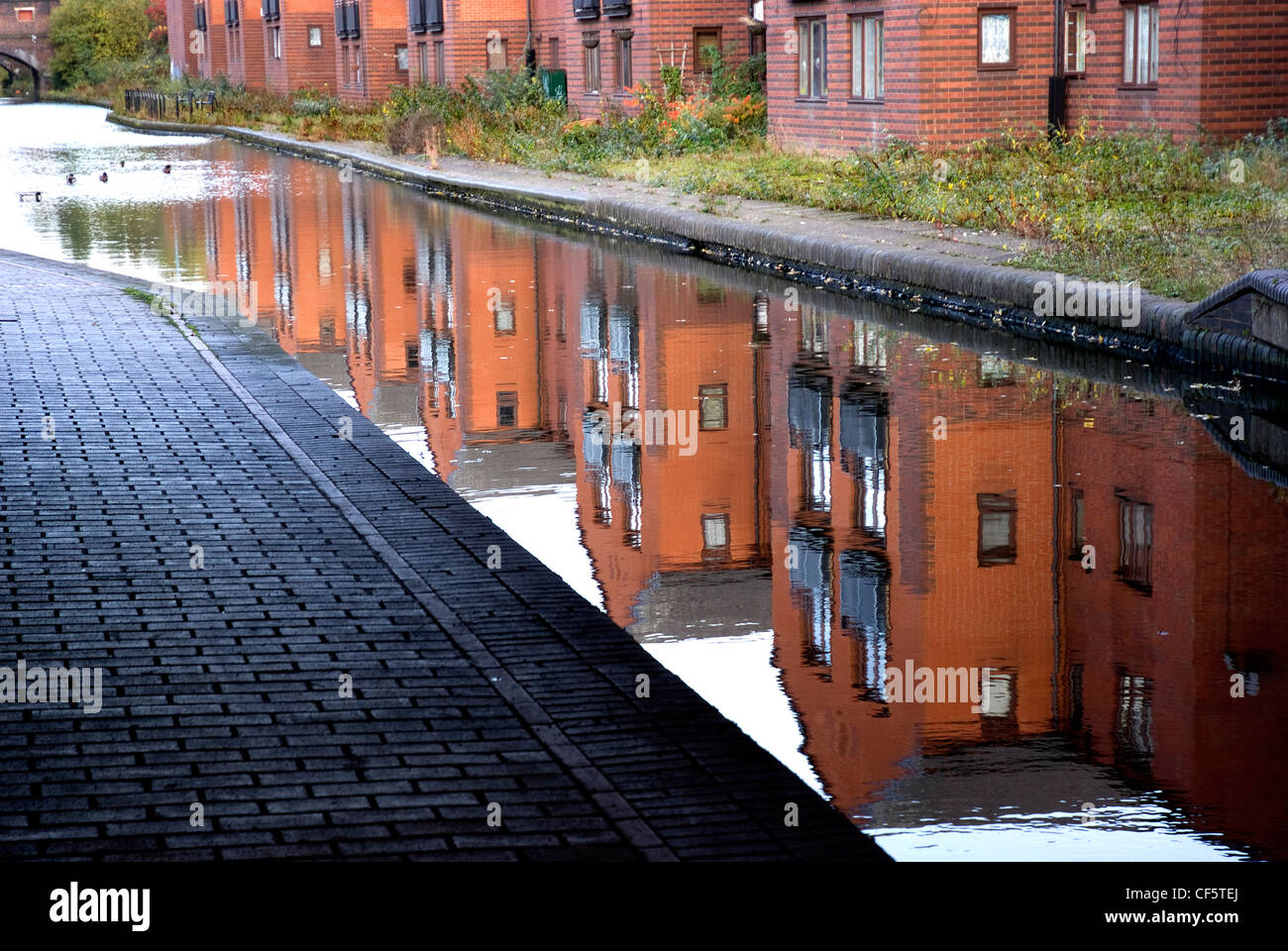 Houses reflected in the Grand Union Canal near Bordersley in Birmingham. Stock Photo
