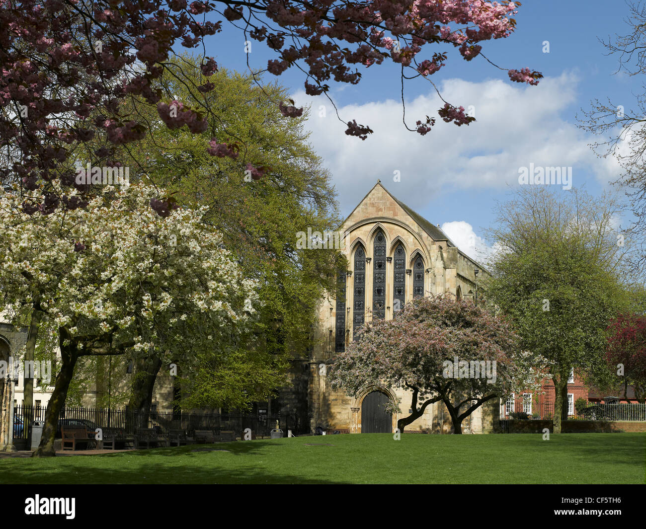 Deans Park and Minster Library in spring. Stock Photo