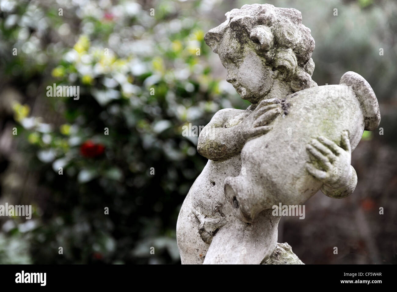 Hidden Treasure Stone sculpture of cherub with vase in the garden Stock