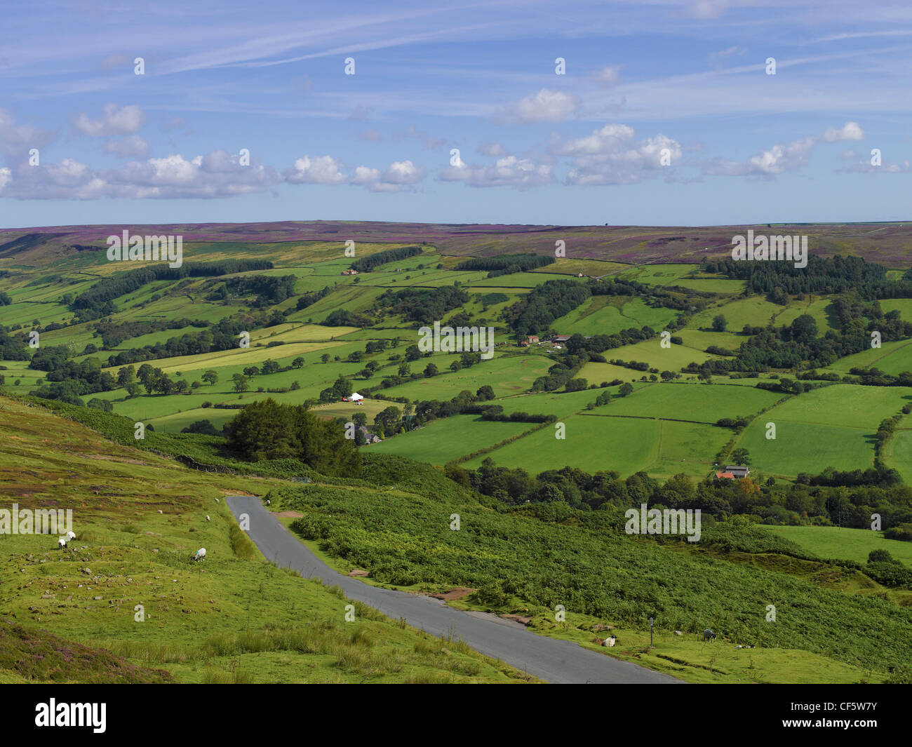 Rosedale Abbey viewed from Bank Top in the North York Moors National Park. Stock Photo