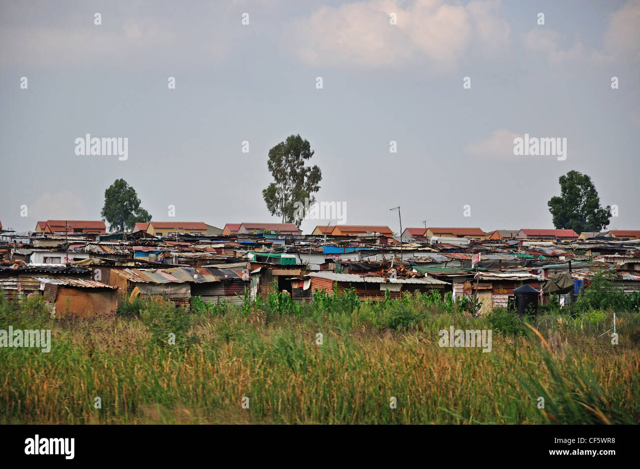 Kwa Thema Township Near Johannesburg Gauteng Province Republic Of kwa-thema-township-near-johannesburg-gauteng-province-republic-of