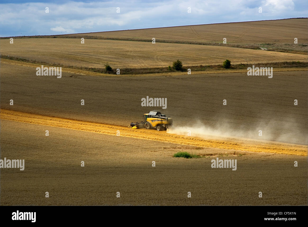 Combine Harvester at work in a field near Arundel. Stock Photo