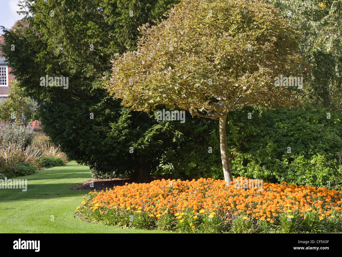 The Salutation Garden in Sandwich, Kent, England Flowerbed with orange