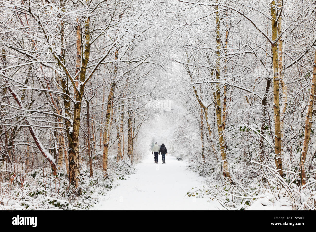 A couple walking hand in hand along a snow covered path through trees ...