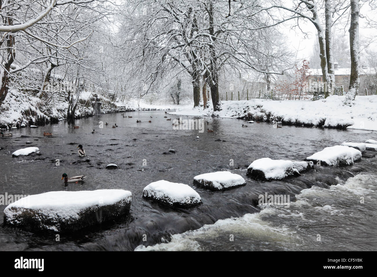 Stepping stones covered in snow leading across a river. Stock Photo