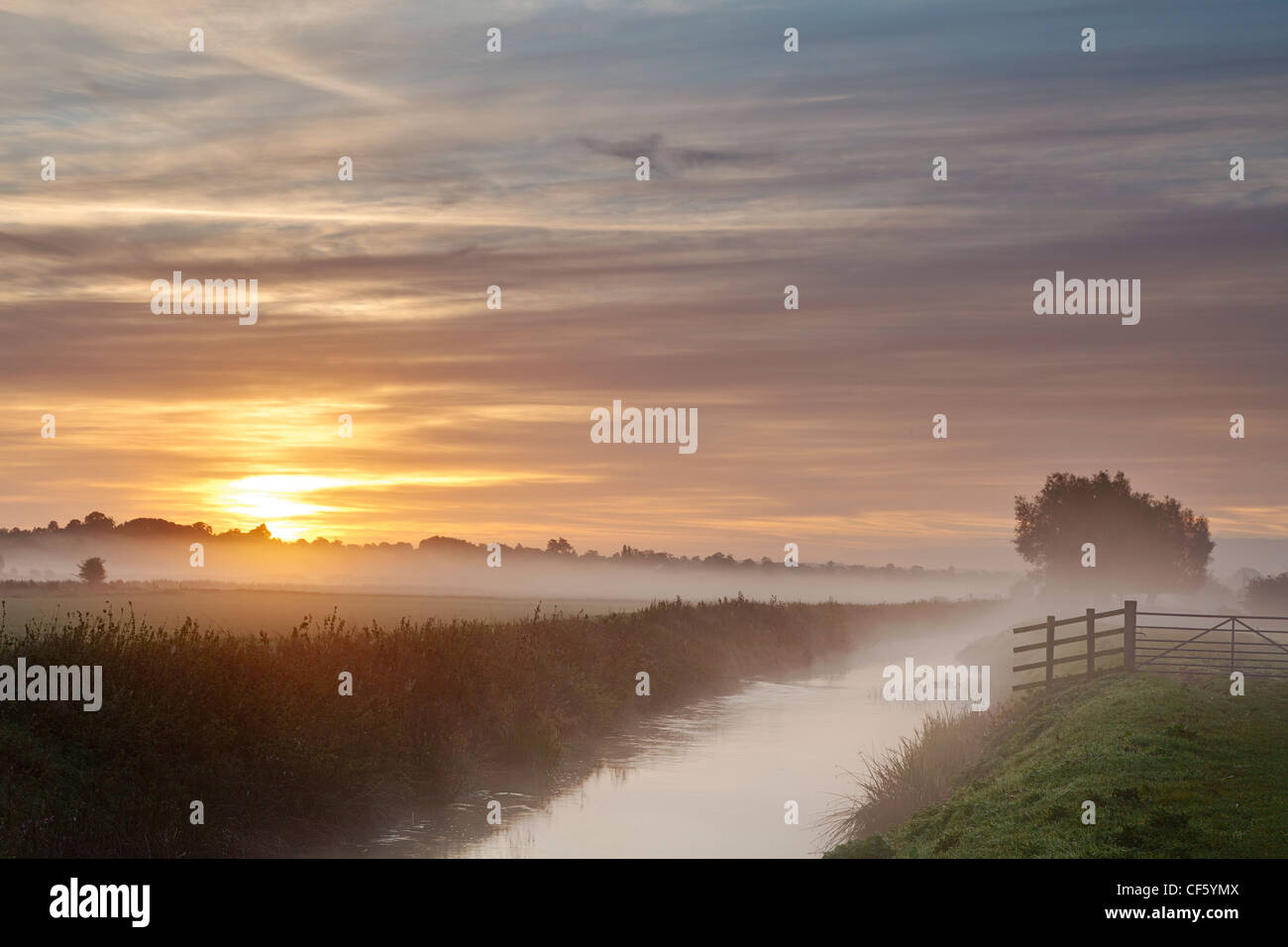 A misty sunrise over the River Brue. Stock Photo