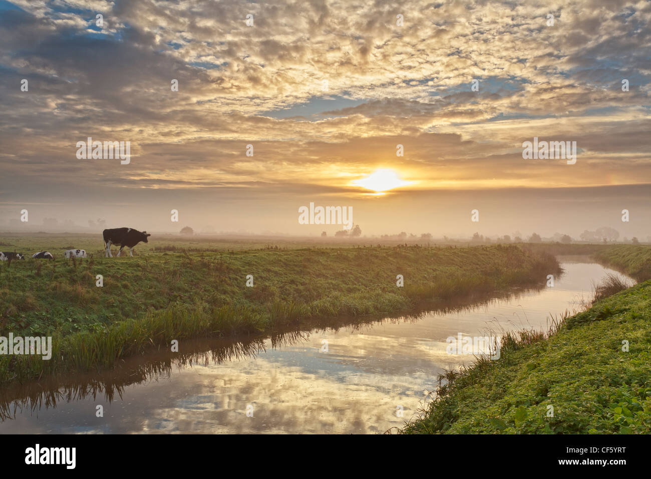 Morning sky reflected in the still water of the River Brue running through the Somerset Levels. Stock Photo