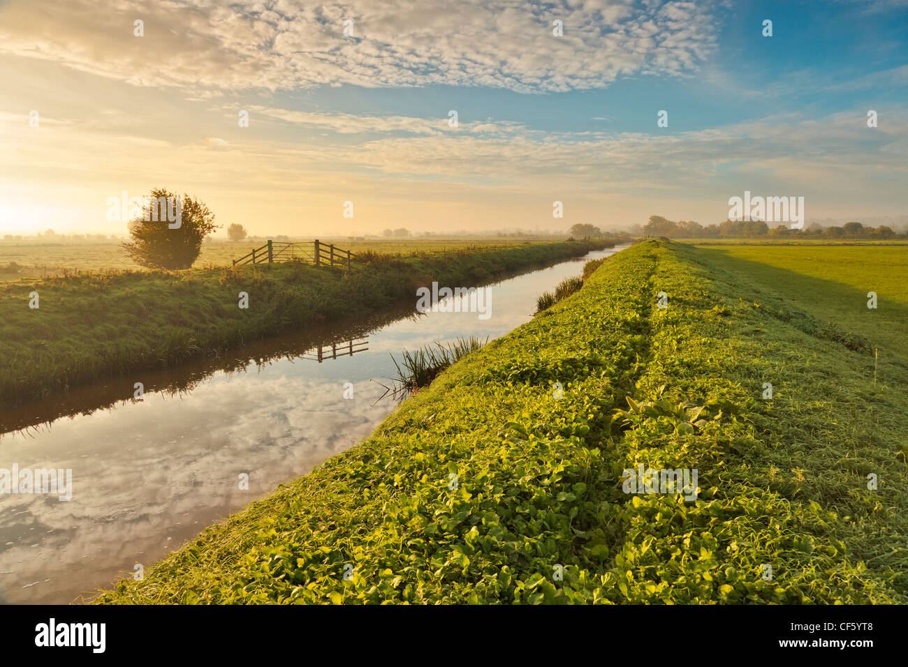 The River Brue flowing through the Somerset Levels at sunrise. Stock Photo