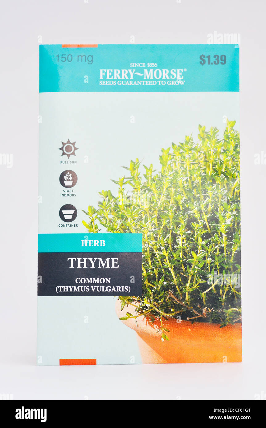Herb seed packet common thyme Thymus vulgaris Stock Photo Alamy