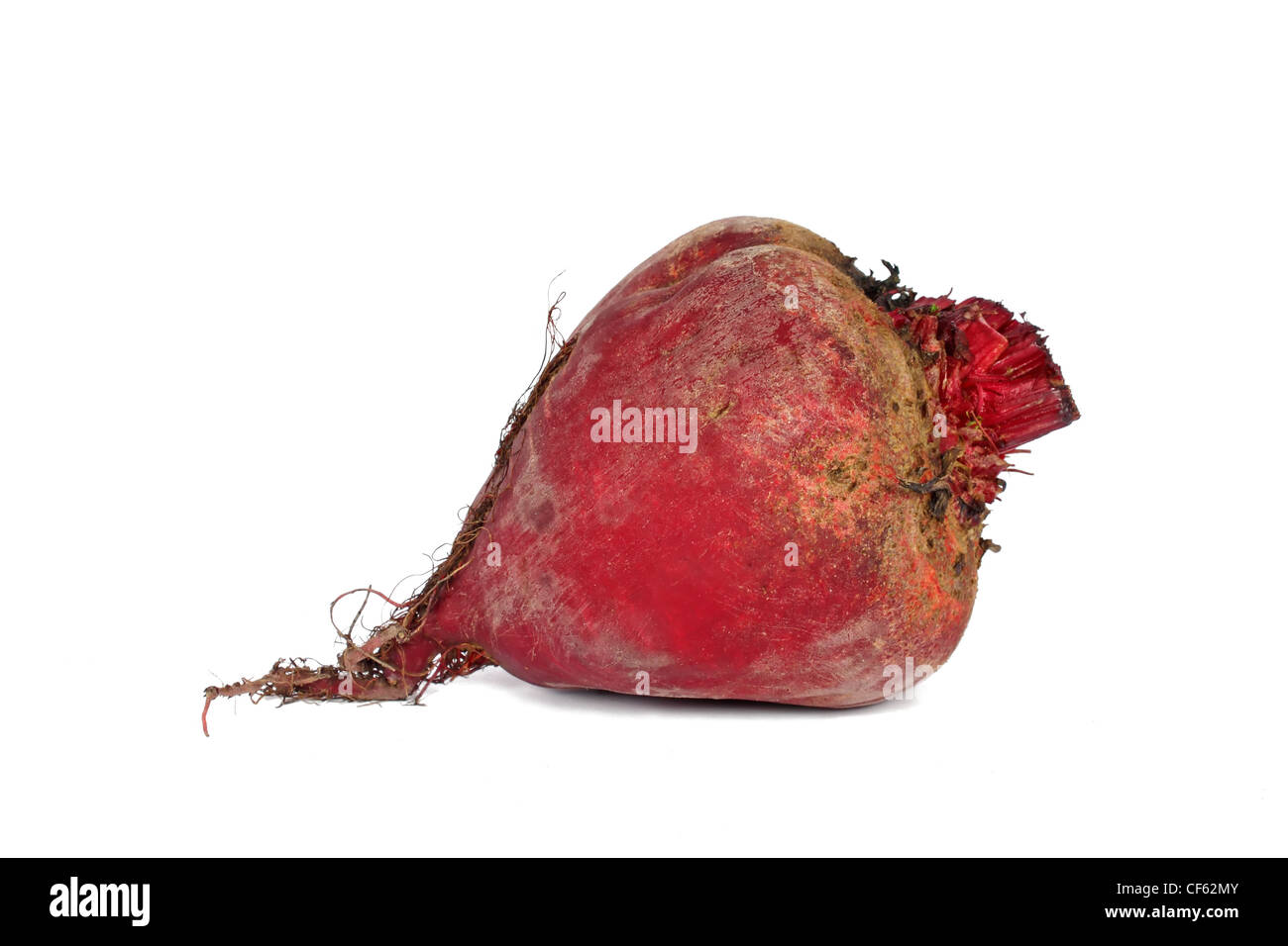 Fresh red beet net isolated on white background Stock Photo