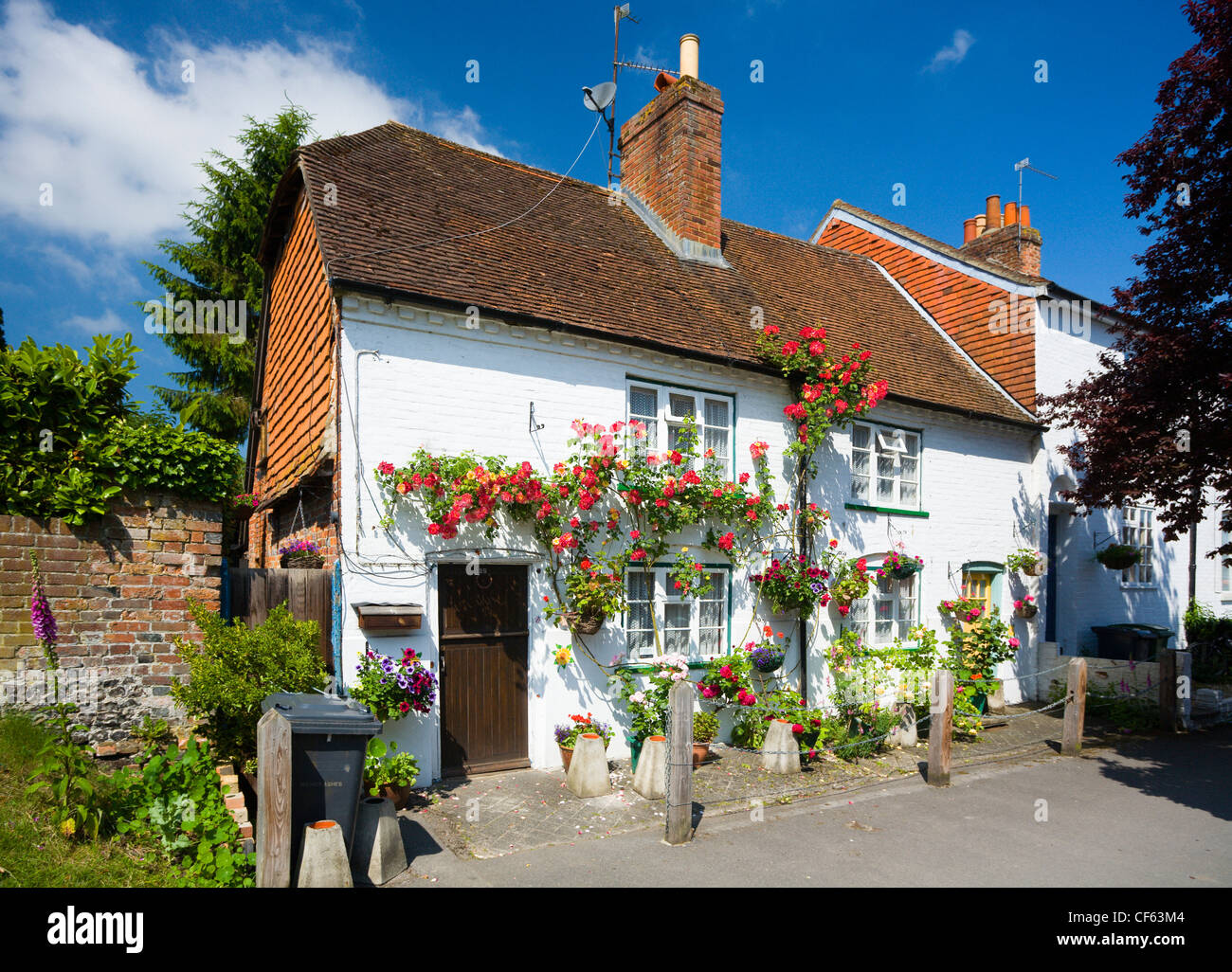 Pretty whitewashed cottages with roses in Overton. Stock Photo