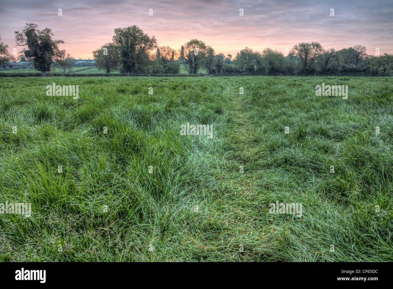 Grassy footpath across a rural field just before sunrise. Stock Photo