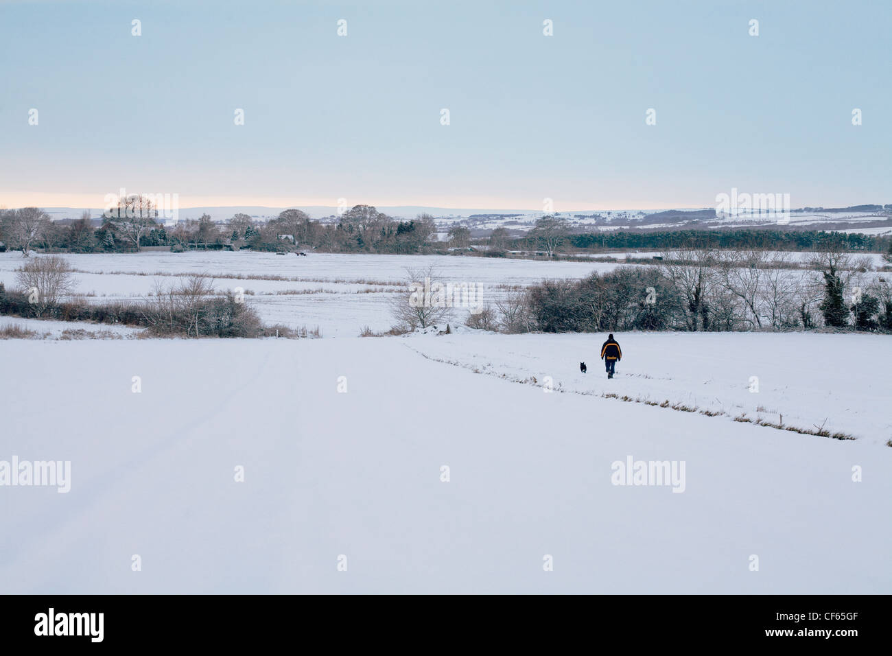 A man walking his dog across a snow covered field. Stock Photo